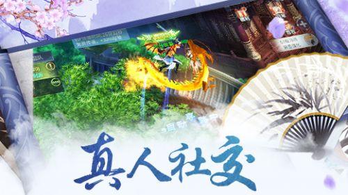 救援白色小猫