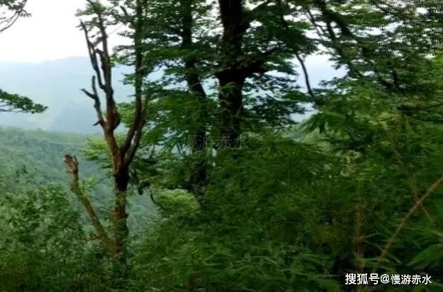 弹球扣篮