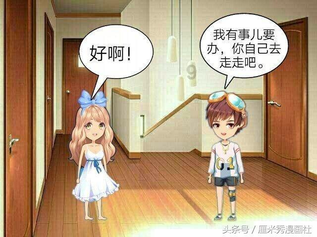 救援狗与猫
