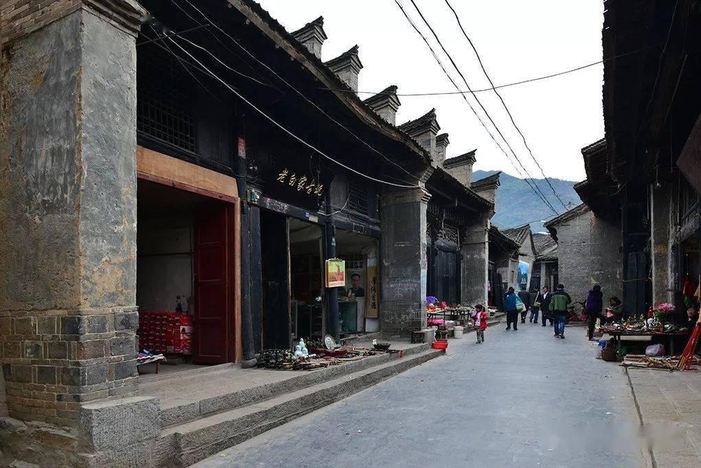 什么气味能驱赶猫游戏画面